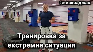 Как да тренираме ударите си за по - добра защита на улицата. #живкоджак