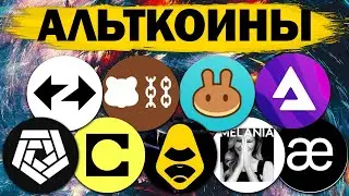 Альткоины, которые дадут иксы! Разбор монет: ARKM CAKE APEX AUDIO AEVO CELO BERA MELANIA ZK