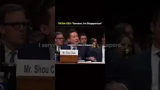 Tik Tok CEO Shou Zi Chew is Singaporean ?