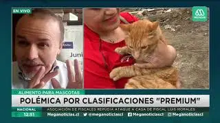 Médico veterinario y polémica por alimentos para mascotas: 