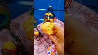 choto🙏☺️🌺# choto so krishna#ytshorts #trending #laddugopalshorts #krishnastatus #shortsfeed
