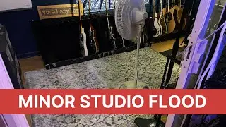 Minor Studio Flood, New Rug, Phase Cabs