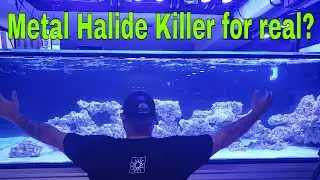 Metal Halide Killer