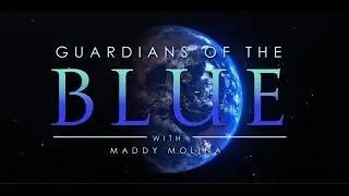 Guardians of the Blue: The Florida Reef Rescue