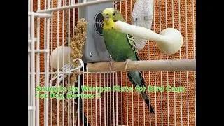 1st Day Review With Snuggle Up Bird Cage Heater Warmer From Amazon