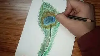 Peacock feather drawing.. #Rûna_Creatór 