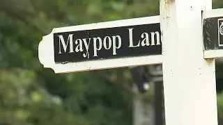 2 children shot in separate incidents in DeKalb County
