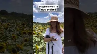 Sunflower Farm