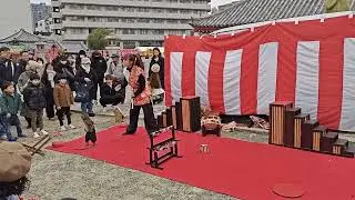 元旦恒例…