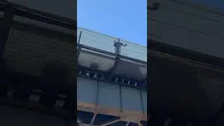 Idiot On Railroad Trestle With Train Flying Past!   308 Feet Over The River?!  JawTooth shorts