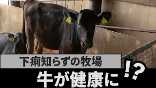 【初の畑作×肉牛】MOOCAL-700で堆肥と草が変わる瞬間