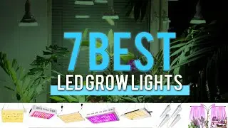 Best LED Grow Lights Under $100 in 2021 [Complete Features]