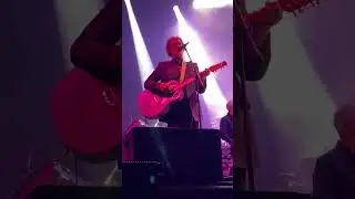 Pulp Seconds Live in Toronto 2025