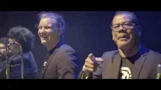 Video salsa monaco 2017