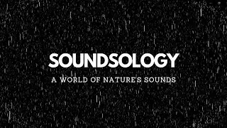 8 hours of Rain Sounds with Black Screen- Gentle Raindrops & Black Screen for Sleep,Study,Meditation