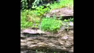 MVLRS @ Harlan, KY Part One