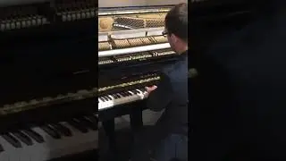 Consegna di pianoforti al nuovo DEA Lecce