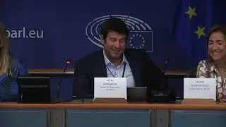 Dyslexia@Work Event/ Alexis Georgoulis - European Dyslexia Association - European Parliament (Part1)
