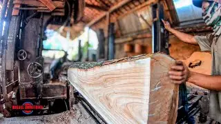 Sawing Beautiful Chinaberry Wood.