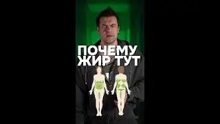 Почему жир живет именно тут  