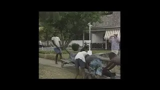 Couleur Marine - La Pêche au Gros 2002
