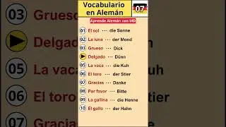 Vocabulario en alem&aacute;n 07 🇩🇪 #alemanonline #deutschlernen #aprendealeman #vocabularioaleman #aleman