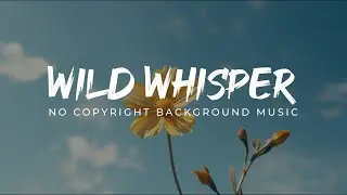 Relaxing Mood Background Music | No Copyright Chill&nbsp;Vibes