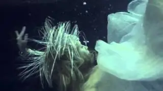 Cubozoa - Directed by Ekaterina Belinskaya