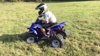Chicken Train