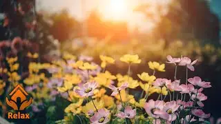 ВЕСЕЛАЯ И ПОЗИТИВНАЯ МУЗЫКА ДЛЯ ПОДНЯТИЕ НАСТРОЕНИЕ / FUN AND POSITIVE MUSIC TO INCREASE THE MOOD