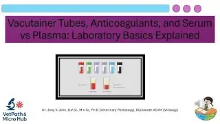Vacutainer Tubes, Anticoagulants, and Serum vs Plasma: Laboratory Basics Explained