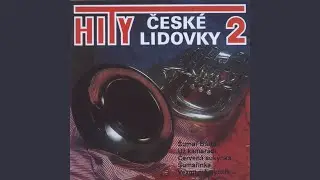 Když jsem při&scaron;el do Vr&scaron;ovic / Včera jsem tě čekala / Děvčata z pohranič&iacute; / Marj&aacute;nko...