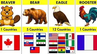 What Are the National Animals of Every Country? 🐯🌍
