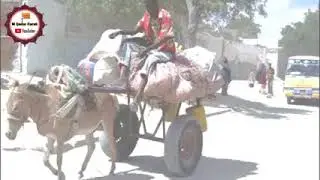 Xoolaha ||Sh Nuur cali Jaamac