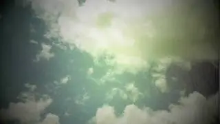 Miniature Tigers - Lolita