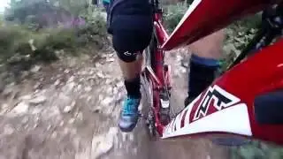 Pocket Fluff Bissoe Ride