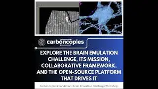 Explore the Brain Emulation Challenge Workshop Part 1 #shorts #neuroscience #innovation #education