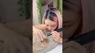Puppy&rsquo;s Teeth Deep Cleaning At Home🦷🪥 #shorts #puppy #pets