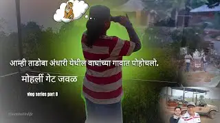मोहार्ली गेटच booking confirm झालं नाही...आमचा jungle stay कसा होता..tadoba part 1