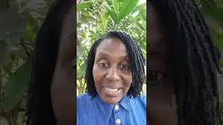 #new #blessed #viral #video #shorts #tiktok #instagram #nature #walkthrough #warzone #spirituality 