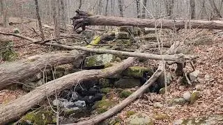 Day hike at Arcadia Management Area, Exeter, RI, Saturday, 17 January 2026.