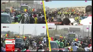 De très belles images : La caravane des lions champion dAfrique sur l'autoroute à péage