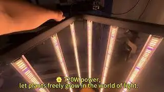 720W High-Performance LED Grow Light &ndash; Factory Direct!
