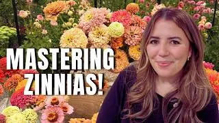 Mastering Zinnias! The Secrets To Growing Gorgeous Blooms ALL Summer 🌸🌿