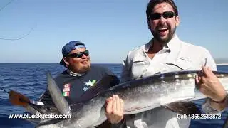 Dregde System - Blue Sky Cabo