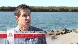 Professor Rod Connolly - Link between ocean predators and climate change