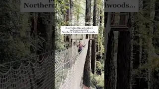 Walk Amongst the Redwoods at the Trees of Mystery in Northern California
