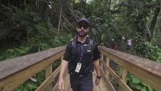 El Yunque Rainforest Half Day tour