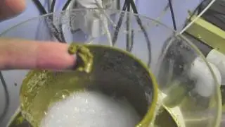 Deltec skimmer gunk