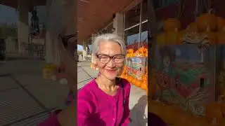 Tourist at home - discovering Zanotto's Market